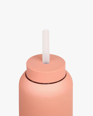 Lounge Straw + Cap [For 27oz Day Bottle] - 13 Colours